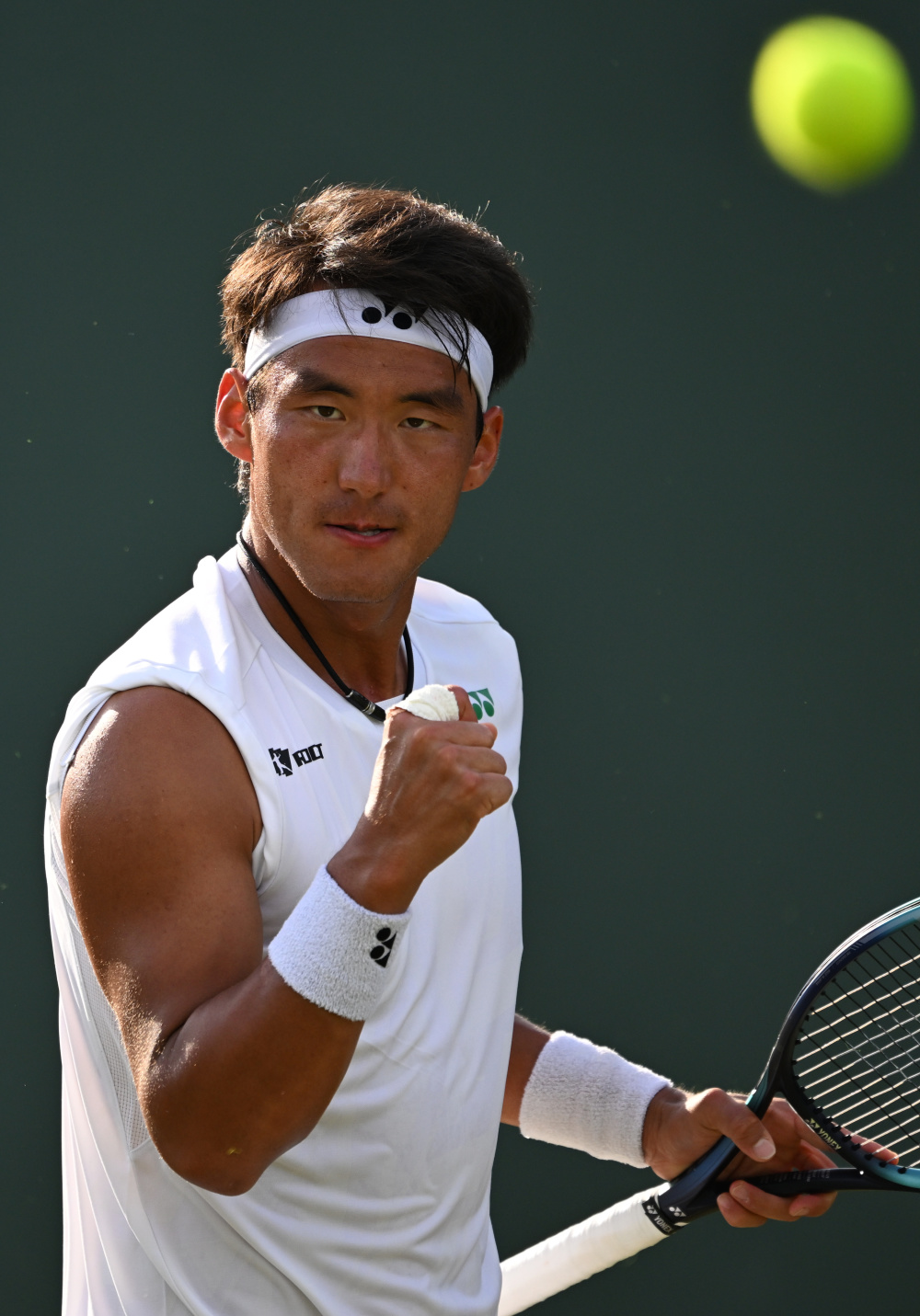 多样性有望 多样性有望