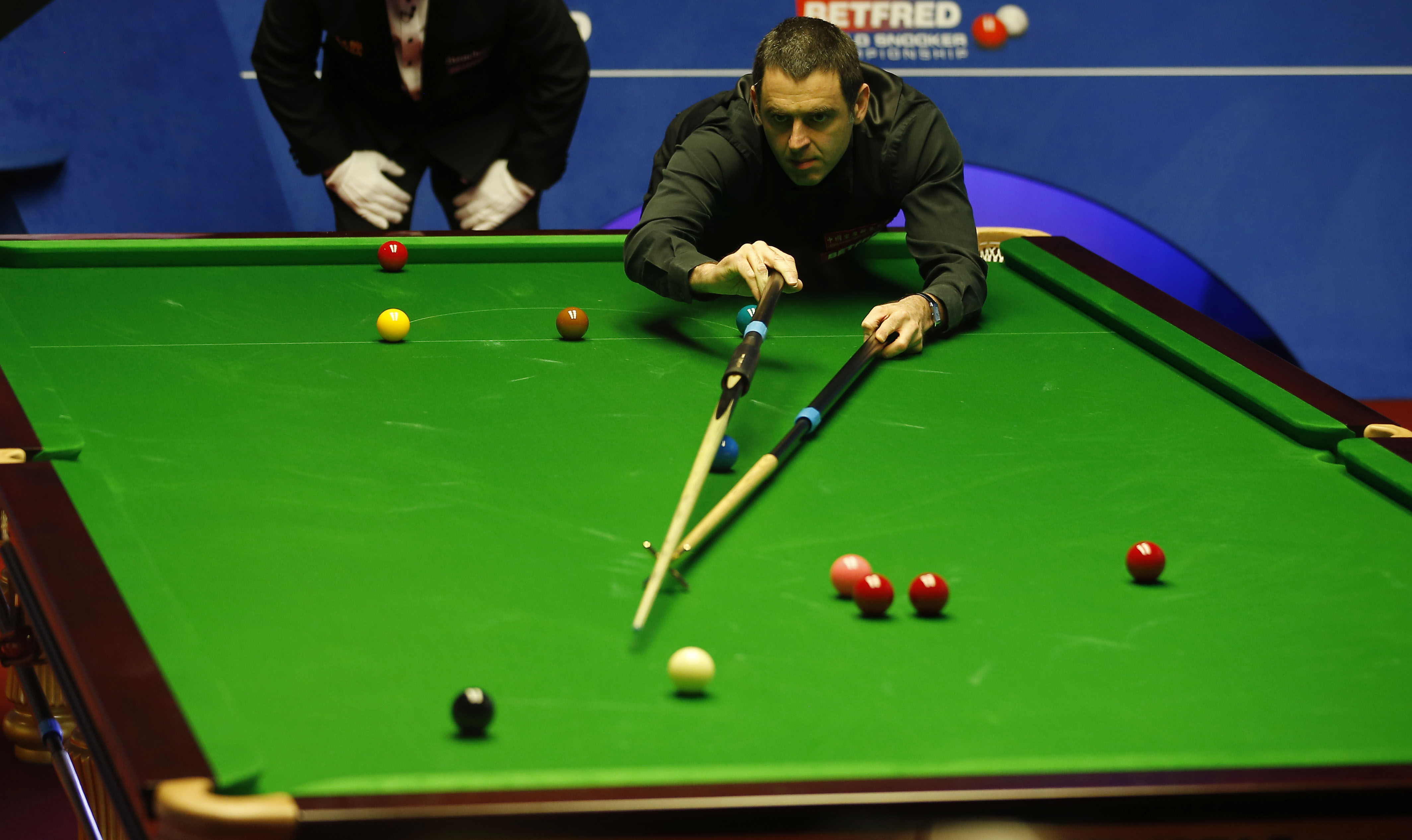 努力在新的 努力在新的