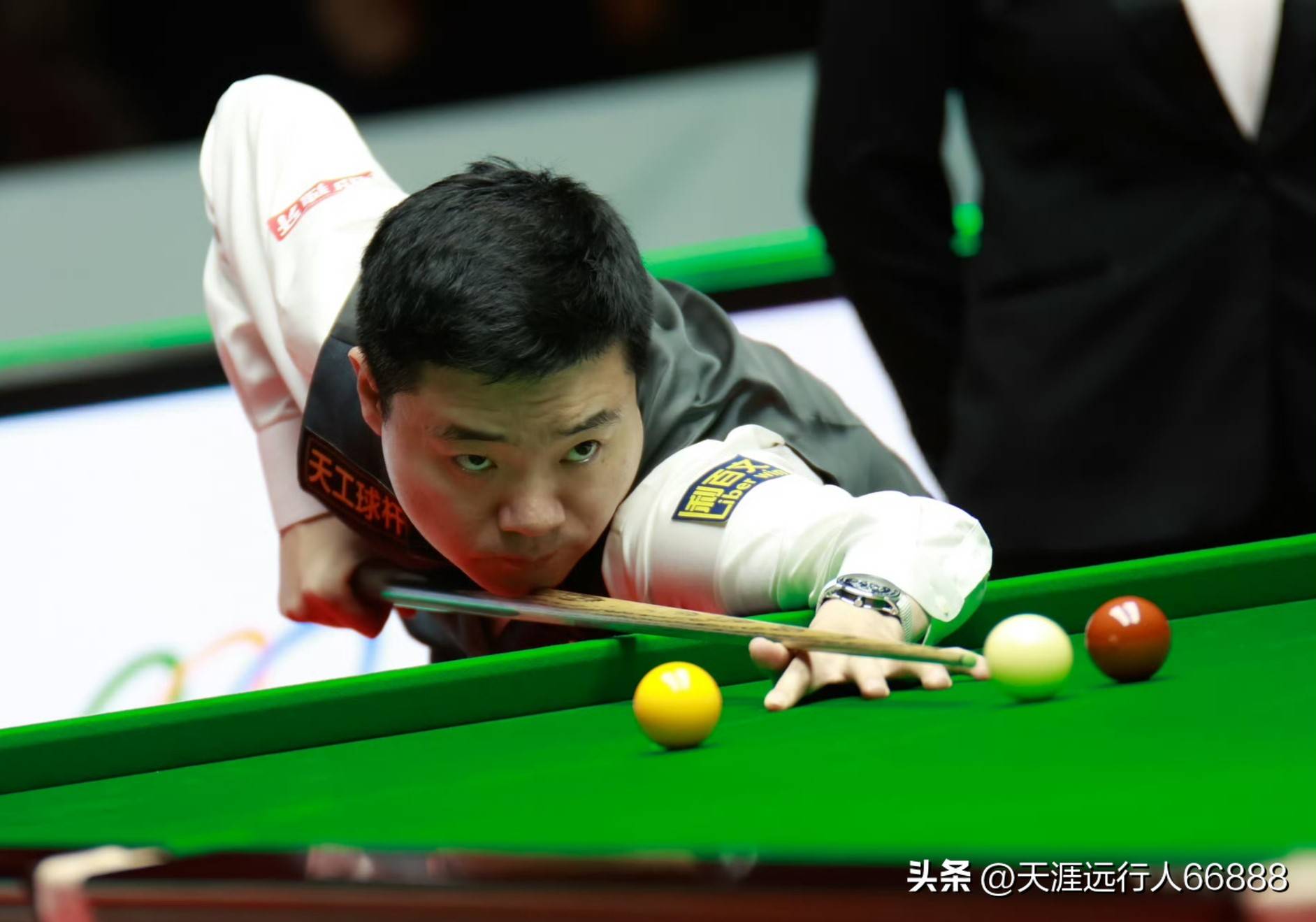 蝶泳美人鱼 蝶泳美人鱼