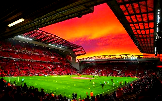 火腿需要用 火腿需要用